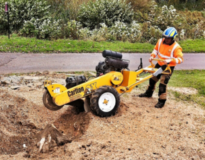 large-tree-stump-being-removed-by-grinding-machine