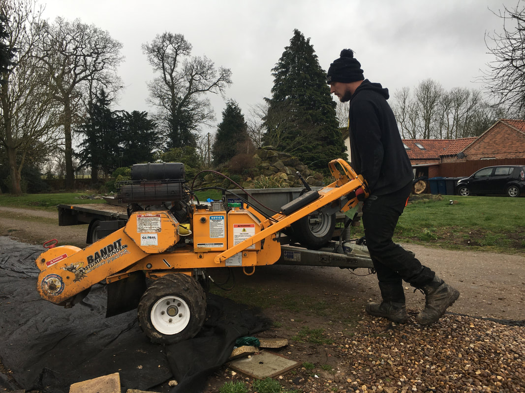 stump-being-ground-down-by-tree-surgeon
