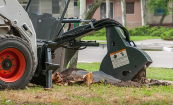 stump-grinding-removal-nottingham-faq