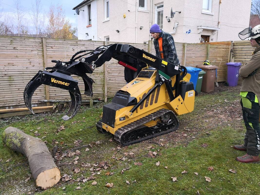 tree-removal-nottingham-4