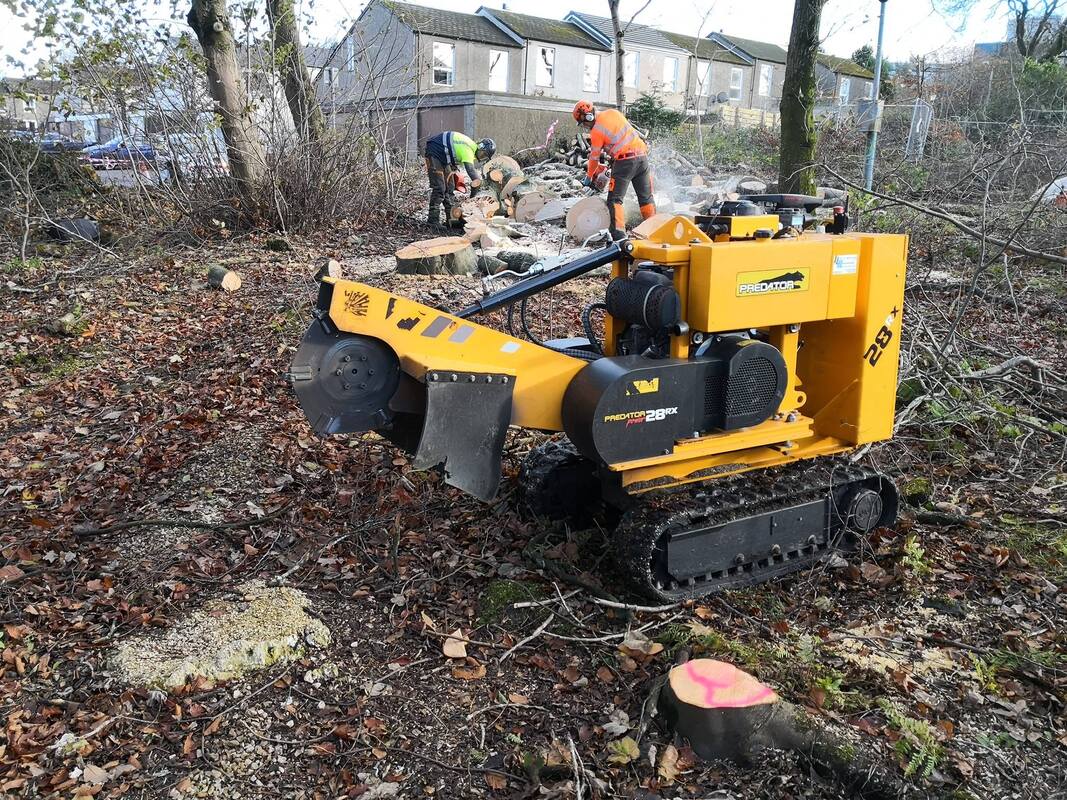tree-removal-nottingham-5