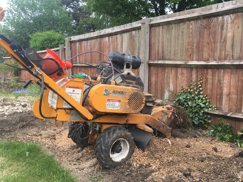 tree-surgeon-nottingham-11