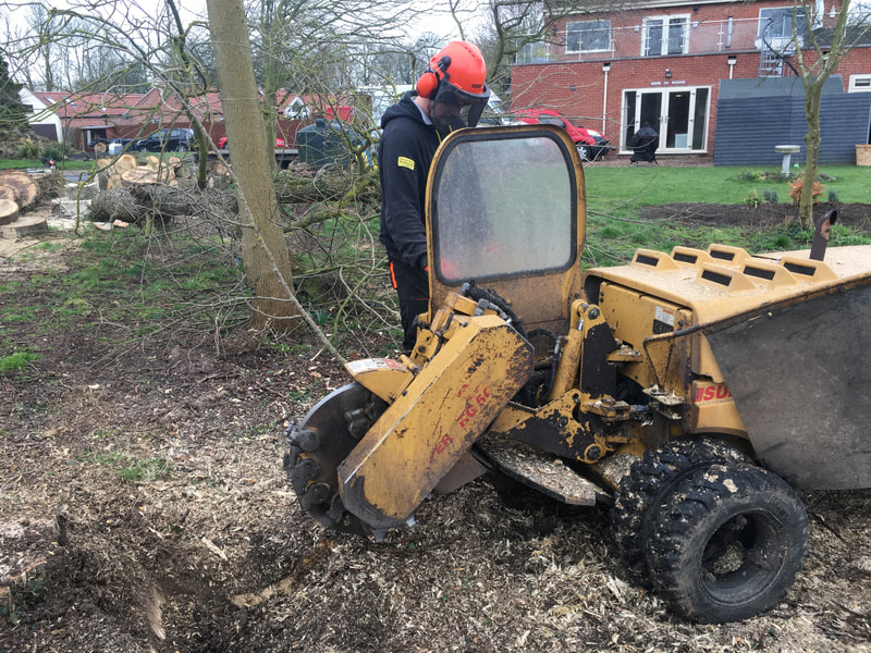 tree-surgeon-nottingham-14