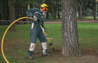 tree-surgeon-nottingham-15